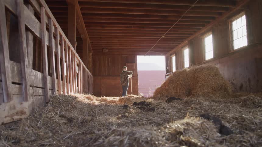 Person inside a farm ranch with dry grass