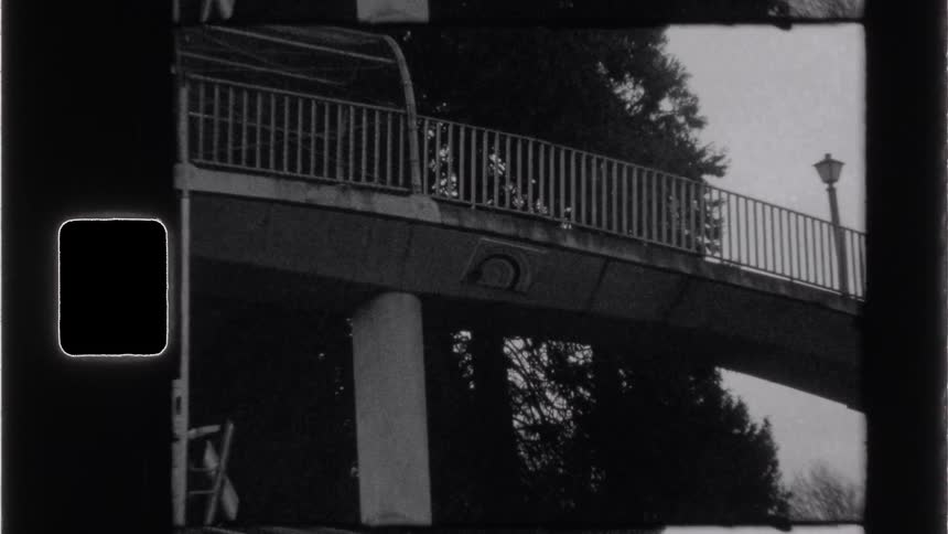 A pedestrian bridge in the city is seen around midday with a tall tree behind it