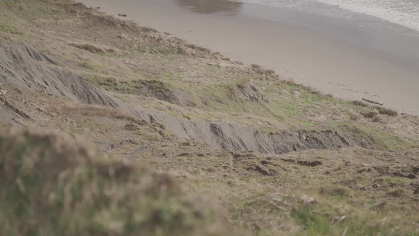 A hill sloping down to the beach