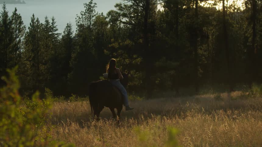 The woman is riding a horse in the tall grass