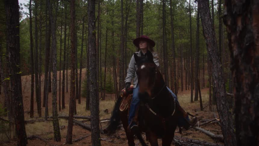 A person rides a horse through a dense quiet forest