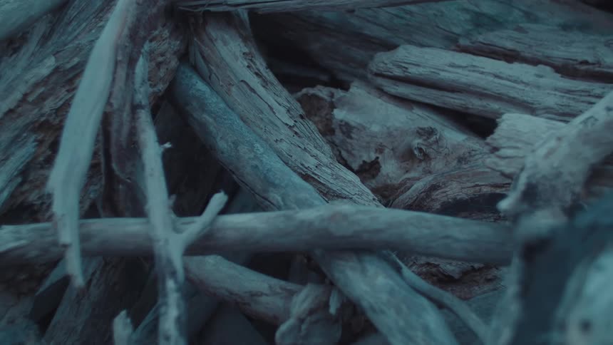 Close up of a pile of dry wood and sticks outdoors during daytime
