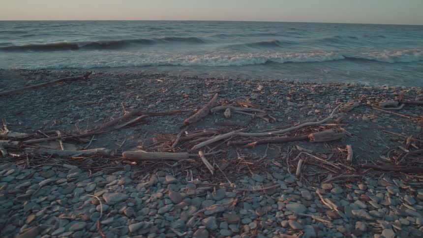 Waves crash against driftwoodstrewn rocks on a rugged shoreline at sunset casting golden light across the scene