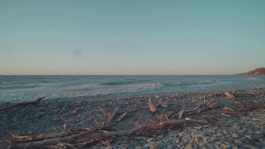 Driftwood and rocks cover the beach as waves roll in to shore