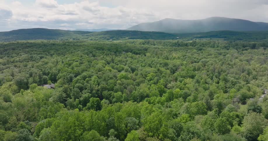 Pullback reveal over dense green forest with mist shrowded Catskill mountains in the distance