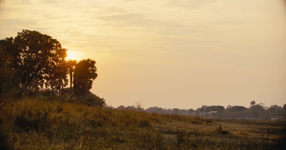 The sun sets on the savanna