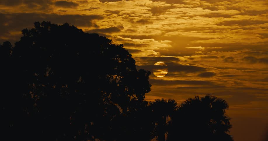 The sun hangs low in an orange sky