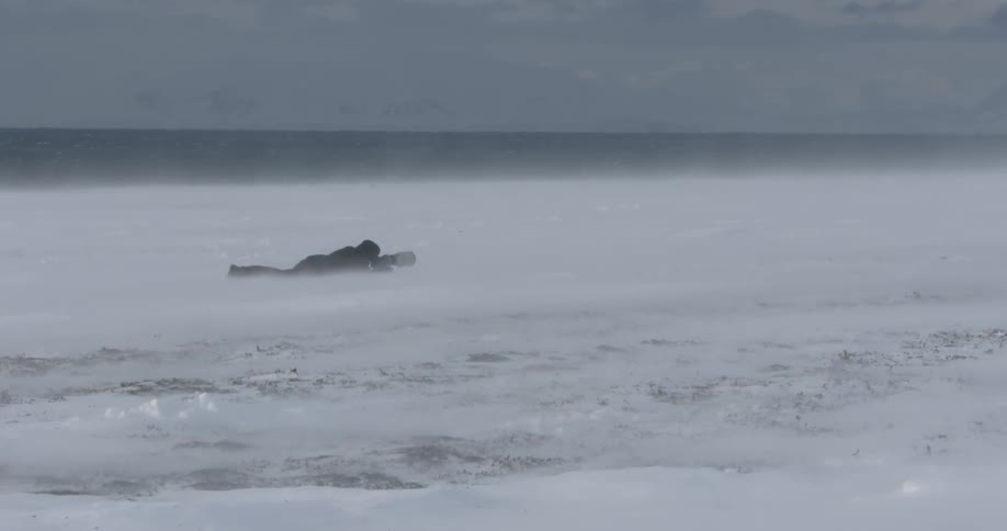 A photographer lays in a snowy and frigid landscape to take pictures