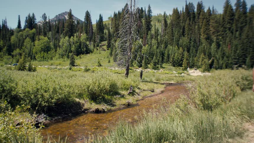 Man walking along a trail along a river