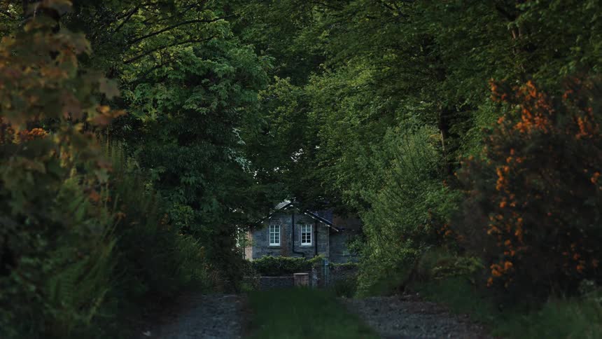 A small house is nestled at the end of a forest path surrounded by dense greenery