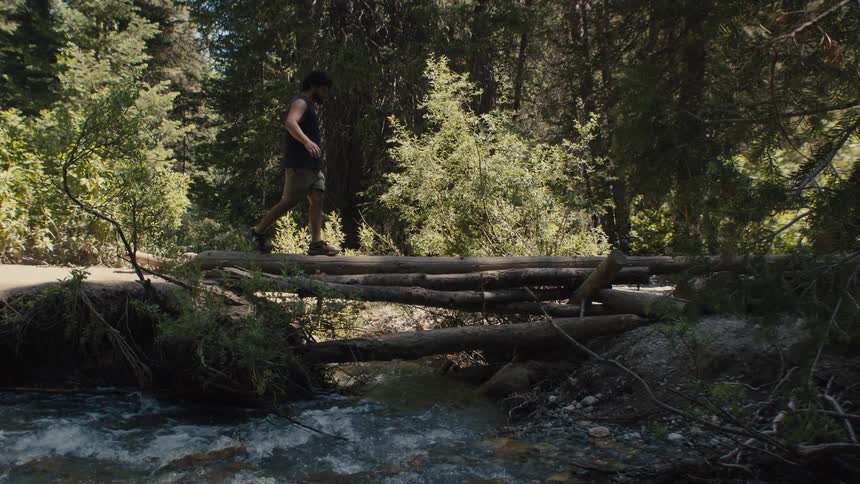 A man walks across a log bridge over a forest stream