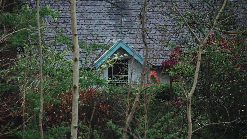 House in the middle of trees view during the day