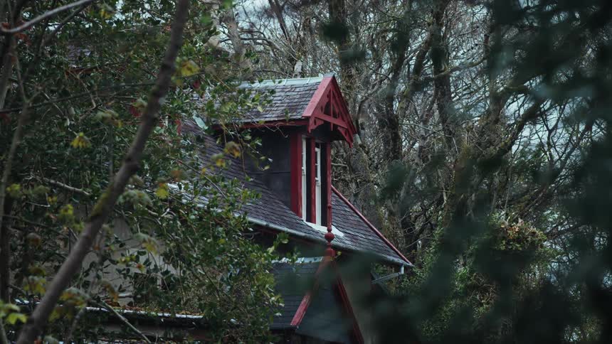 A red trimmed house roof is partially hidden among dense forest trees