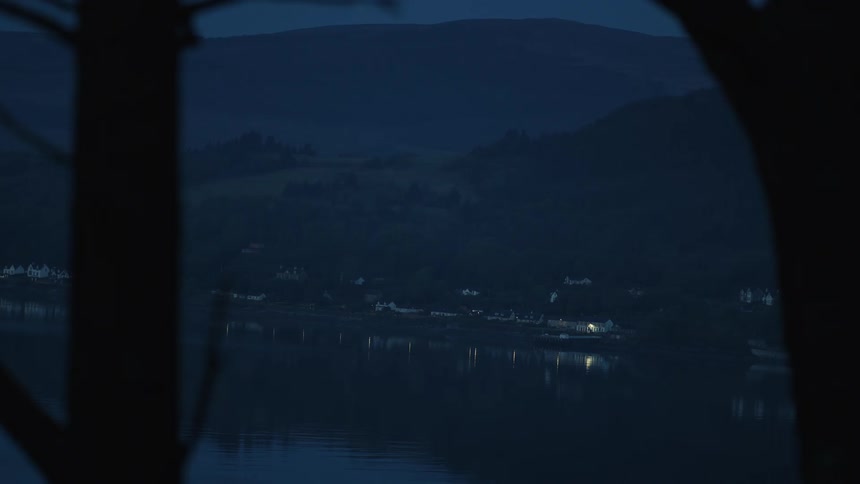 Silhouette of two trees in the foreground and in the background a small seaside town at night