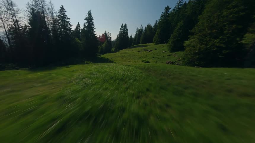A drone soars over a vibrant sunlit mountain valley starting from a close view of lush trees and expanding to a breathtaking panorama of rolling green hills and distant peaks