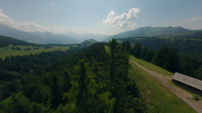 Drone Flies Over Conifers Revealing a Foggy Mountain Landscape
