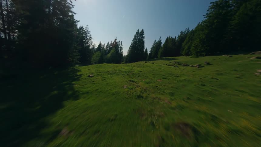 Landscape of green mountains with conifers