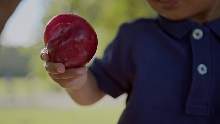 A child holds an apple in his hand