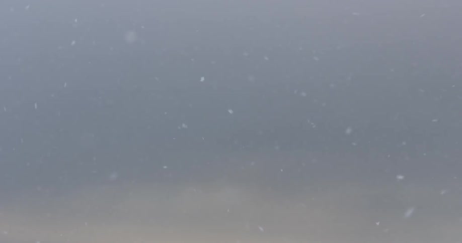 Snow blows around in the air