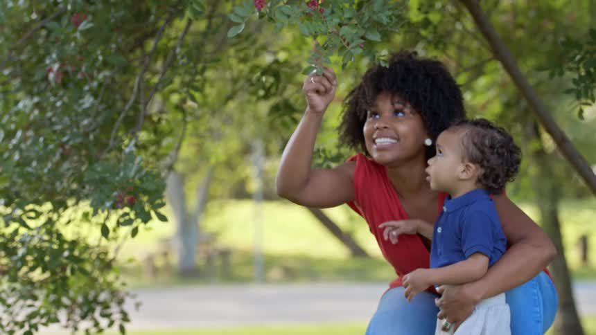 A woman and a child enjoy looking at berries on a tree branch in a sunny outdoor park
