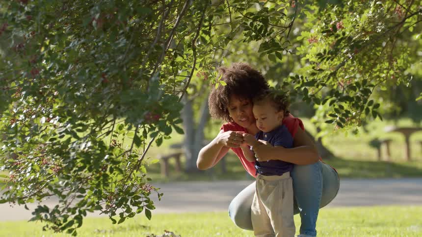 A mother and son examine a tree branch