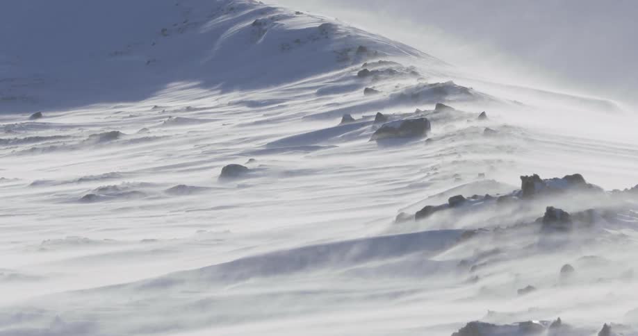 The rocky field is covered with snow on a windy day