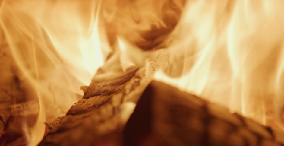 Fire flames on wood logs