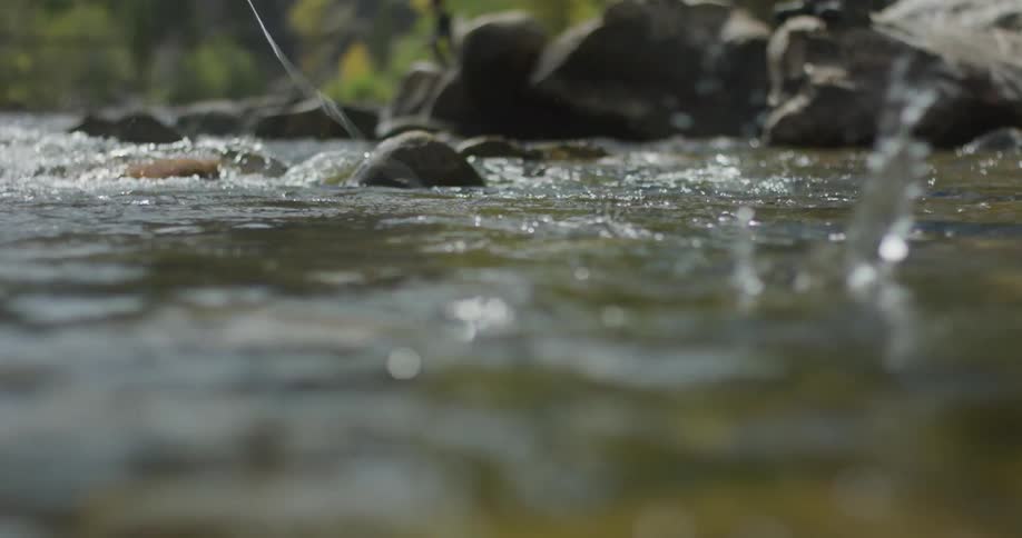 A man stands on rocks fly fishing in a forested mountain area