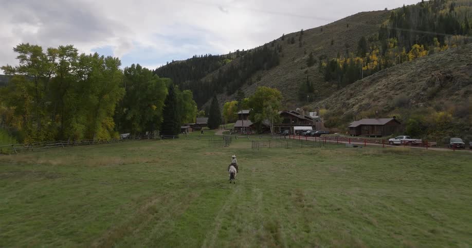Person riding a horse in a field with houses in the background