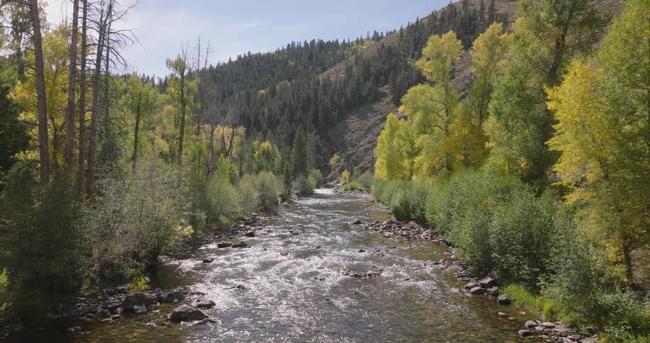 Aerial of a flowing stream in the middle of a forest area during daytime