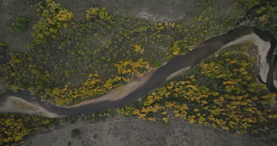 Following a river that runs through a forest