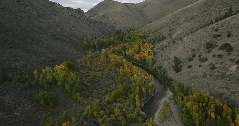 A breathtaking vista of rolling hills covered with pine and aspen trees with a narrow road winding its way through the dense forest towards a horizon filled with grey clouds
