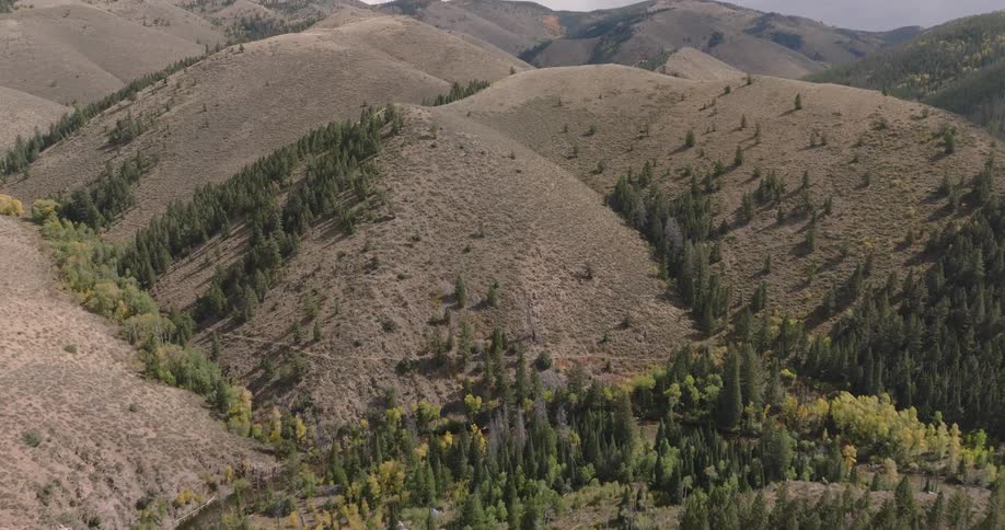 Flying over rolling hills and valleys