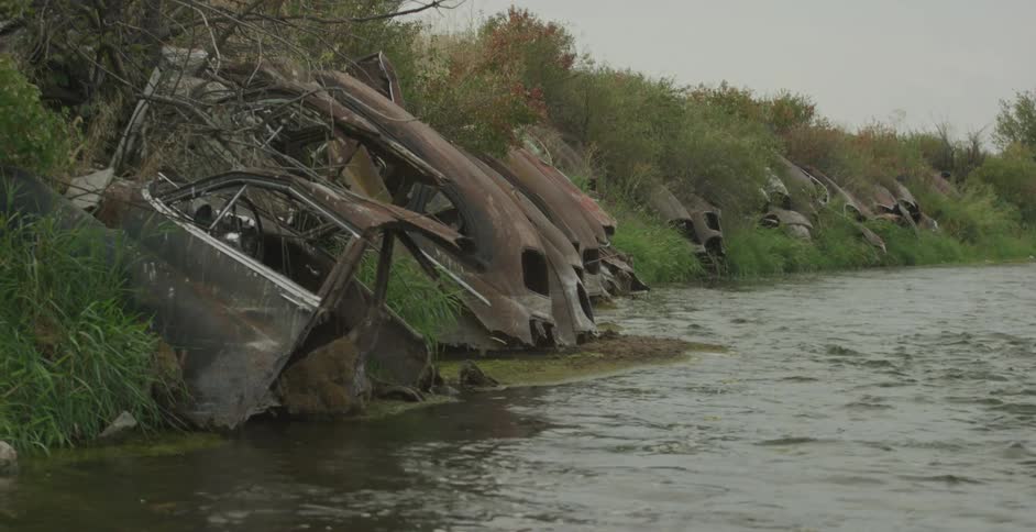 A row of rusted abandoned car frames lines the edge of a riverbank surrounded by greenery
