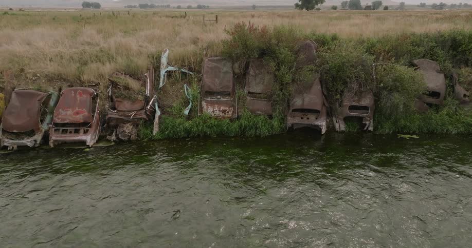 Rusting cars line a grassy riverbank overgrown and decaying