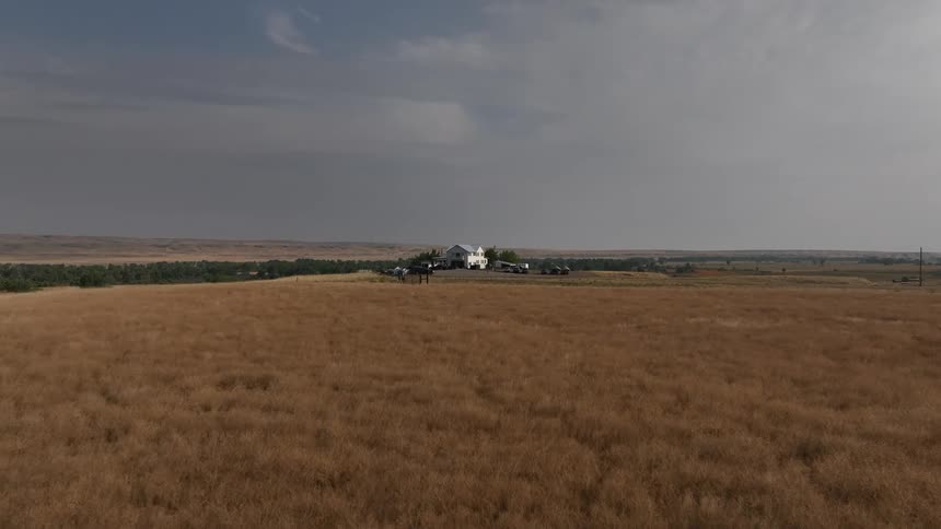 Large natural field with a house on the horizon
