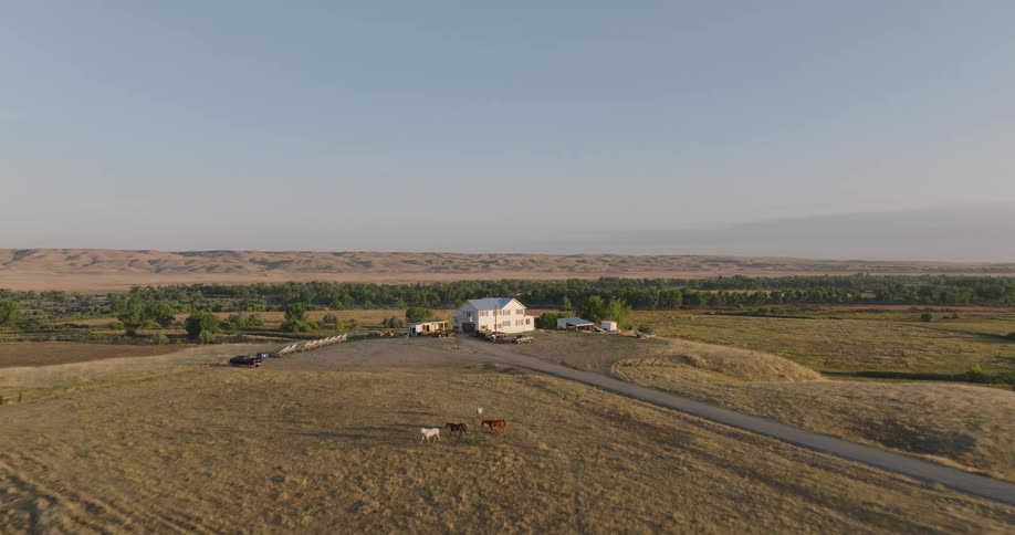 Horses walk on the field near the large home