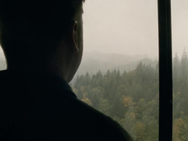 Silhouette of a man drinking from a cup and looking out over a coniferous forest