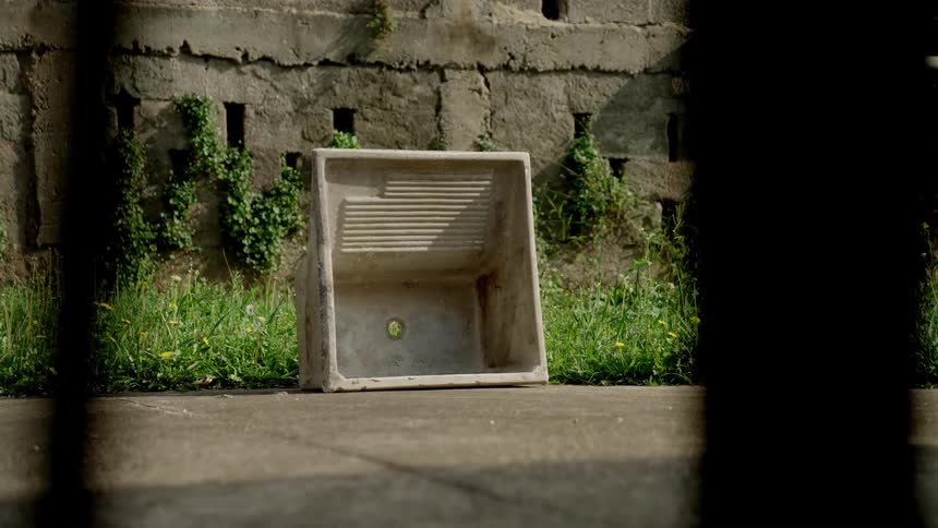 A gray rectangular basin with a ribbed washboard section and a drain hole sits on a concrete surface with grass and ivy covered concrete blocks in the background