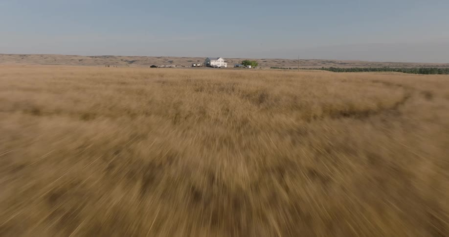 A huge beige grass field with a white building in the center