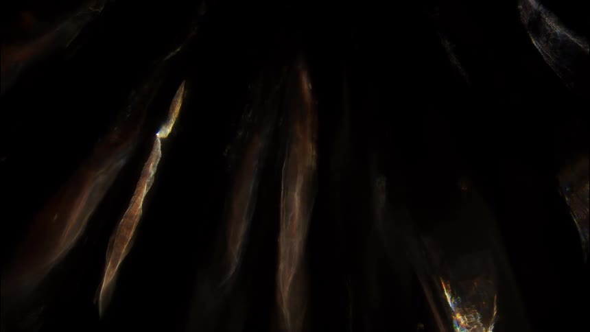 Abstract light beams on a dark background