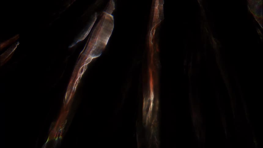 Abstract bright light reflection on a dark background