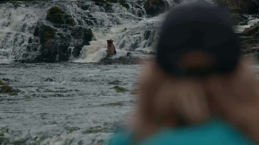 A person uses binoculars to watch a brown bear standing on rocks in a river below a waterfall