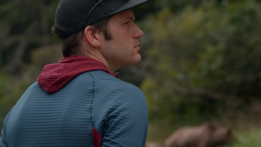 The man is watching the bears graze on grass