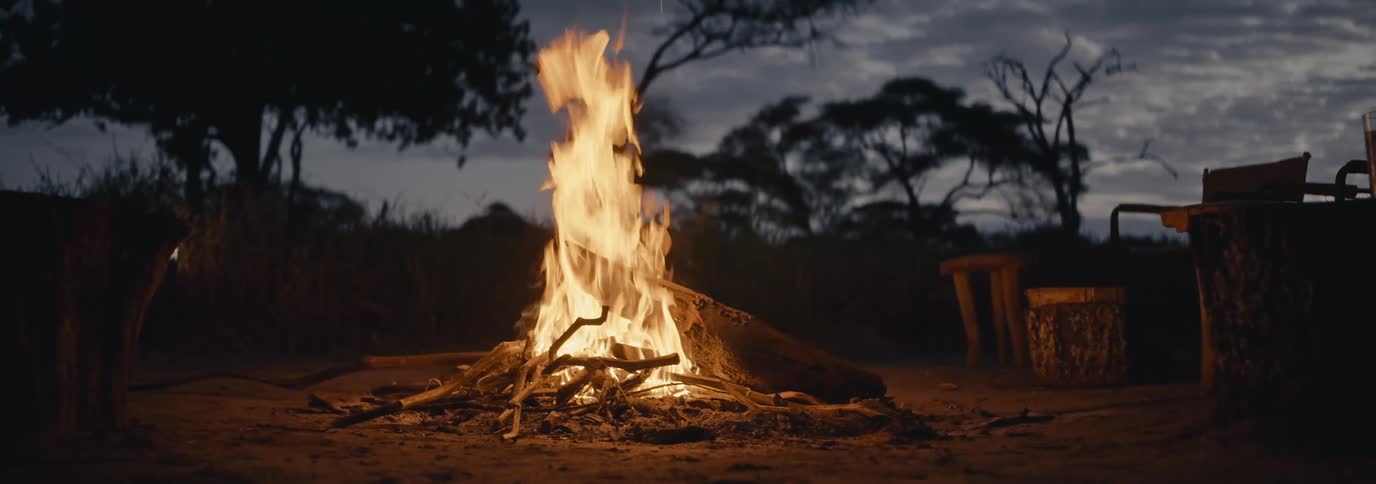 A campfire burns in the jungle during the evening