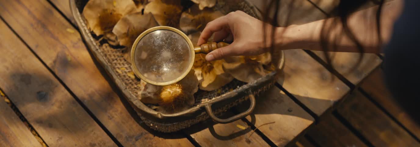 A woman examines items in the basket with a magnifying glass