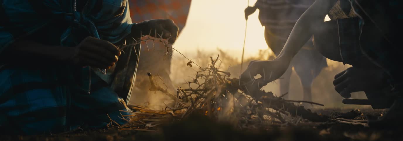 People are making a campfire together
