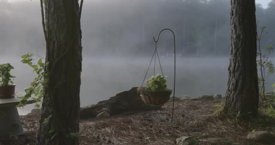 A planter hangs off a hook next to a foggy lake