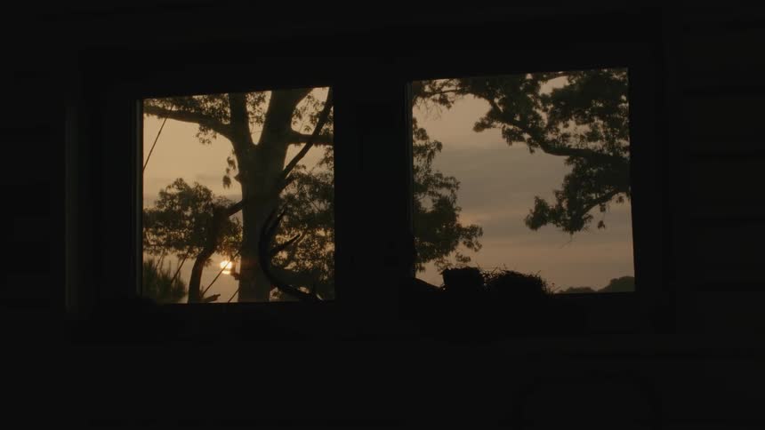 A window looks out on trees and the sunset