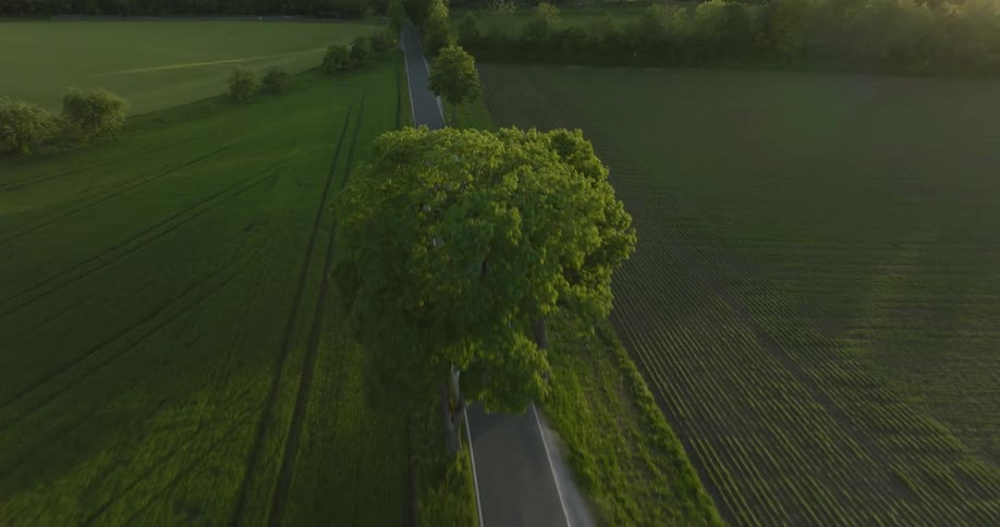 A car drives along the road with grassland on both sides at midday